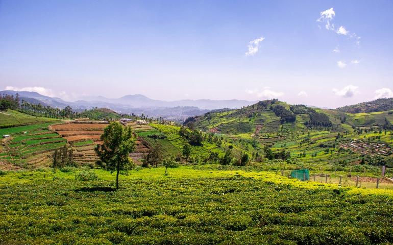 Coonoor
