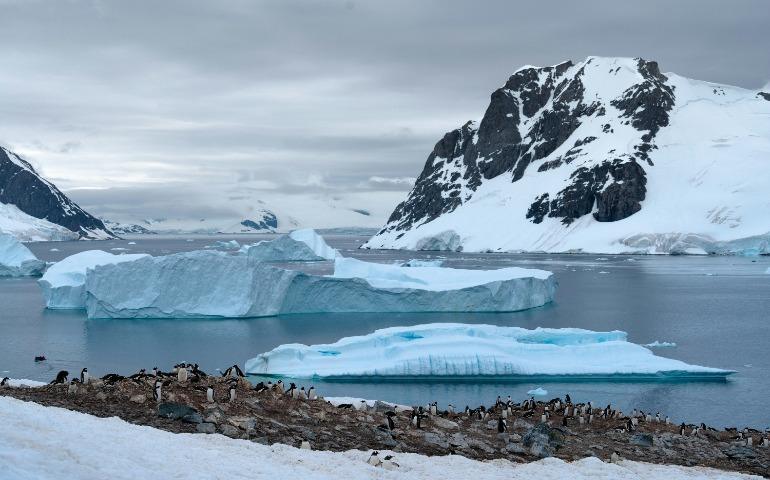 Southern Ocean