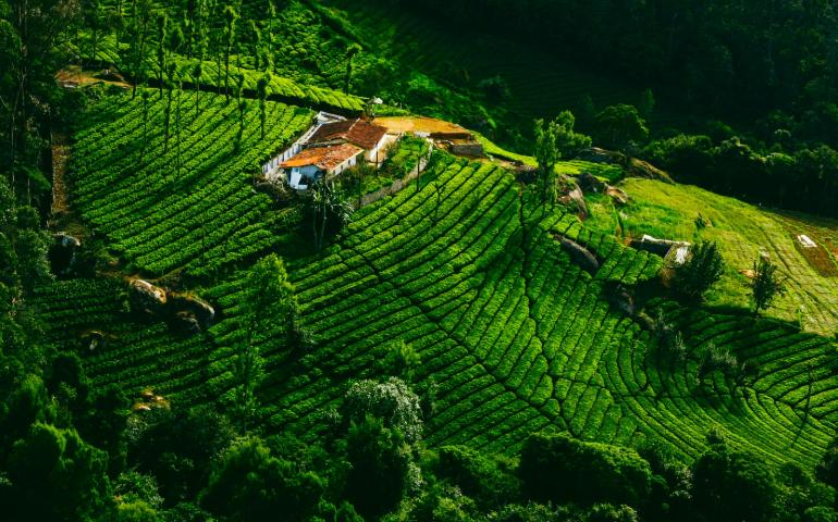 Ooty
