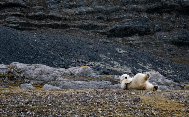 Hornsund, Svalbard