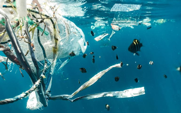 Plastic pollution