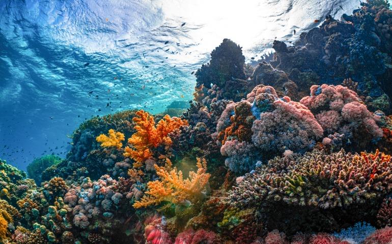 Islands of NEOM, Saudi Arabia