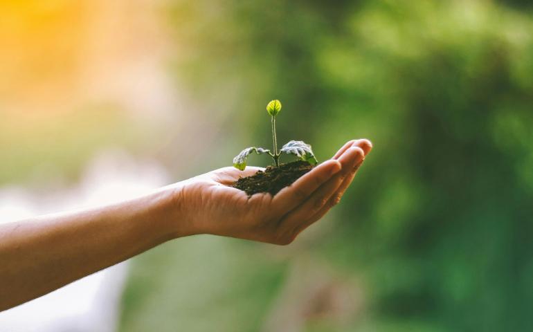 World Environment Day 2026: Inspired by Nature. For Climate. For Our Future.
