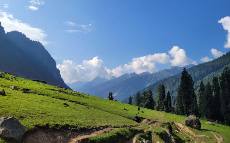 Lush Green Meadow with Distant Mountain Range Under a Clear Blue Sky