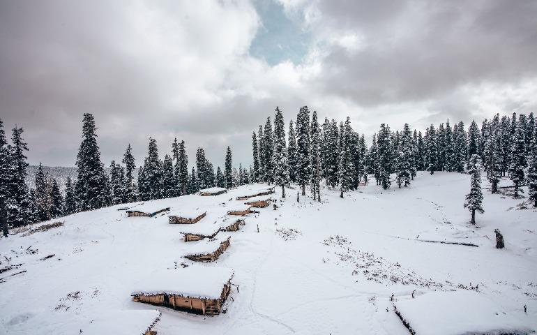 Snow-Covered Forest in Gulmarg Featuring Wooden Cabins and Tall Trees