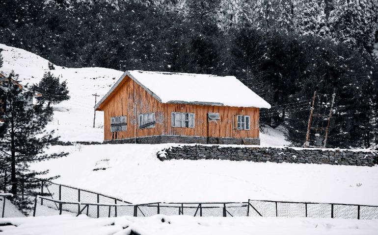 Snow Covered Cabin Surrounded by Pine Trees in Gulmarg