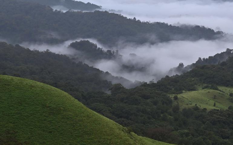 Madikeri