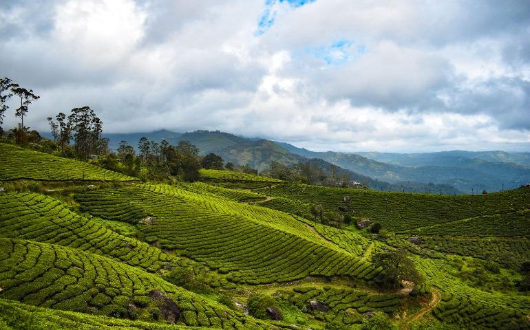 Munnar