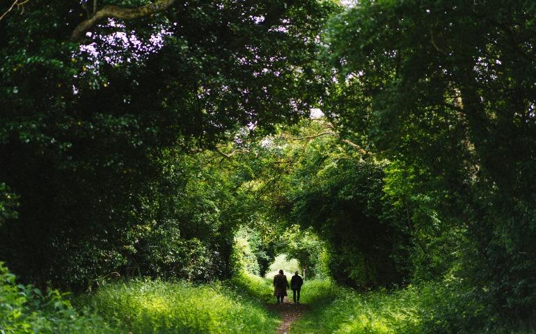 Nature walk
