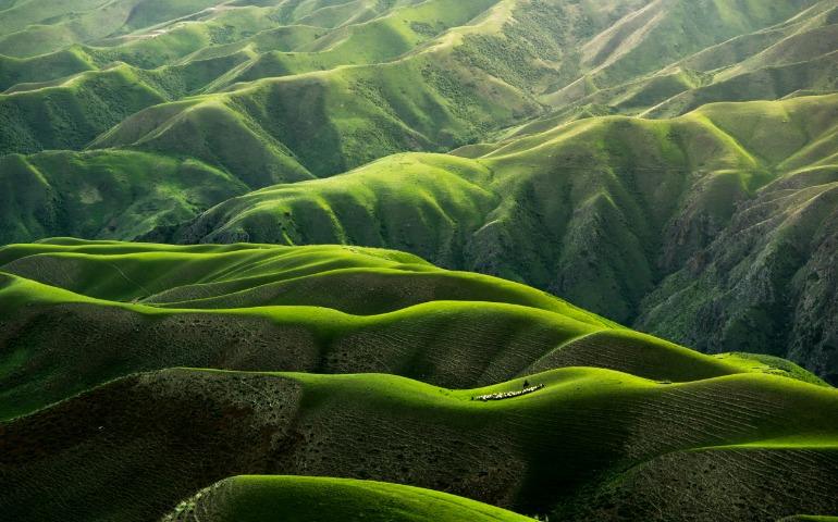 Beautiful green mountains