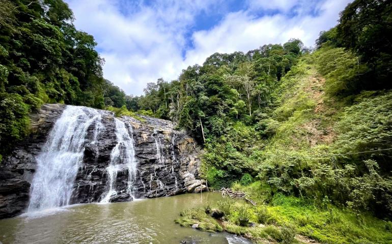 Abbey falls
