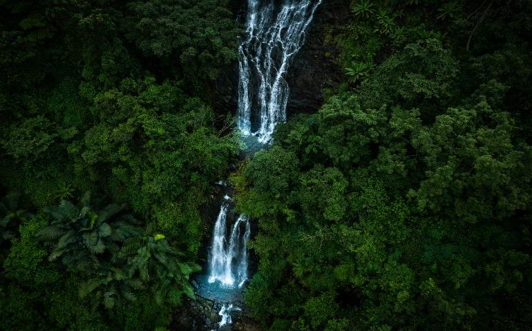 Aerial shot of Kappimala waterfall, Kannur 
