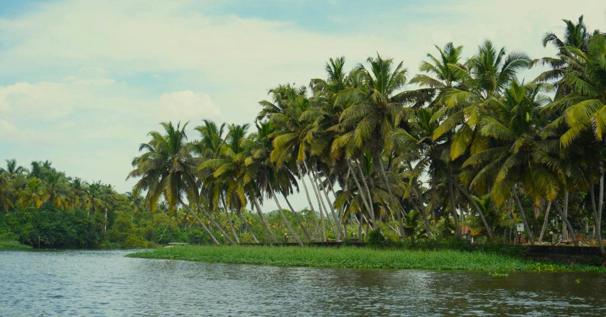 8 Reasons Why Kerala in Monsoon Could Be the Best Time to Visit
Photo by Tojo Basu on Unsplash