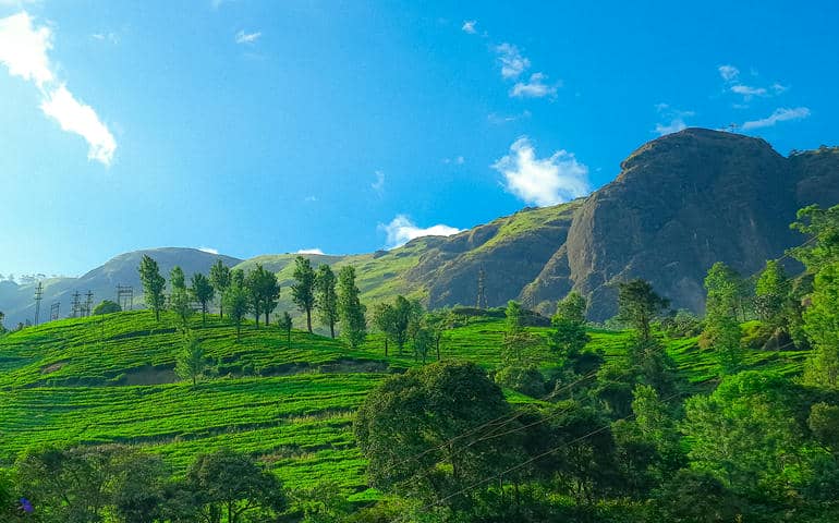 Beautiful picture of nature's beauty