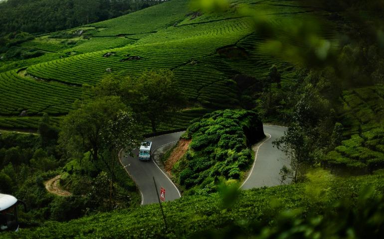 Wayanad
