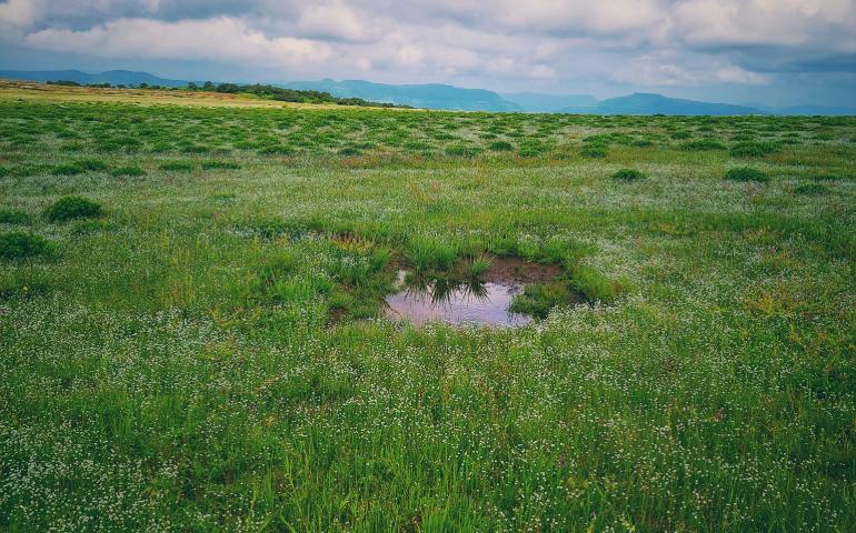 Kaas Plateau
