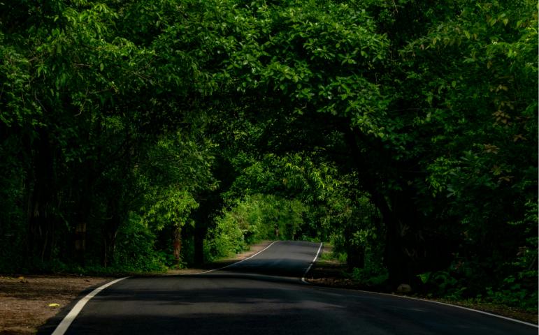 Jawhar
