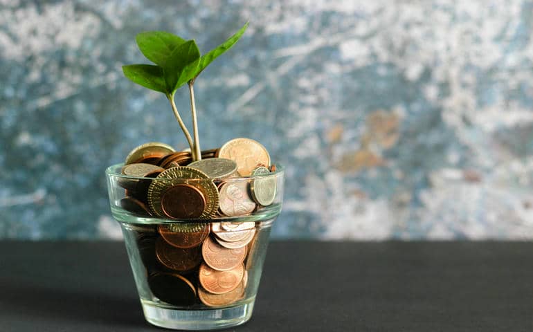 A plant with coins in it