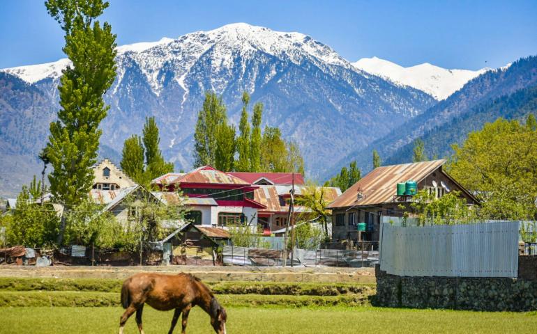 Mountain Village with Houses and a Horse Grazing in Springtime