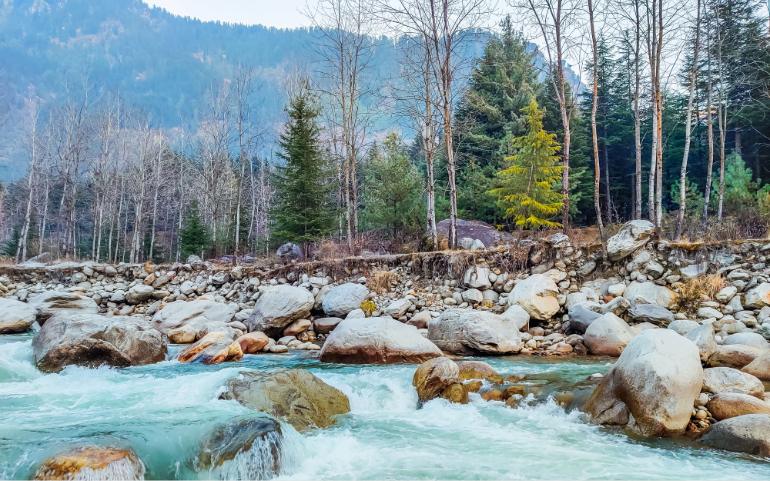a Rushing River Flowing Through a Rocky, Forested Mountain Landscape
