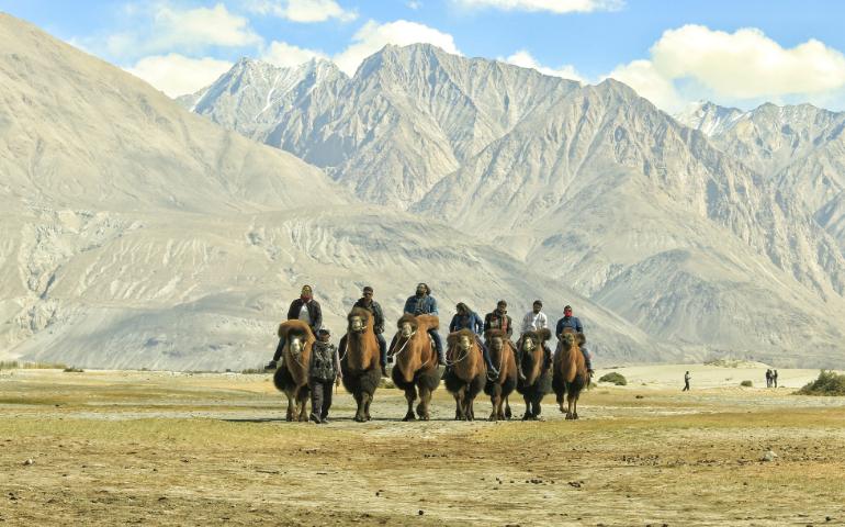 Camel riding through the stunning valleys of Leh.