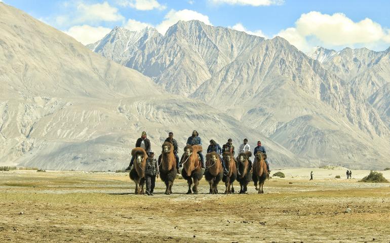 Camel riding through the stunning valleys of Leh