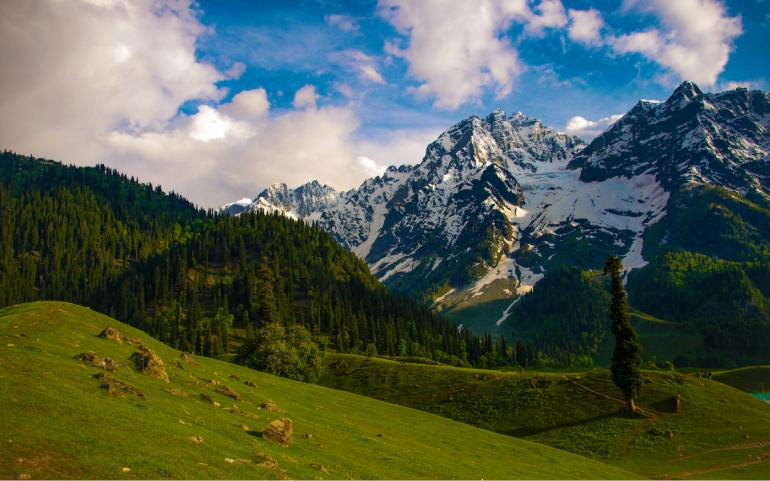 Meadow of Gold in Sonamarg