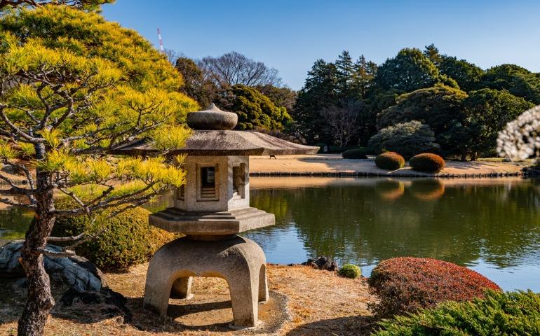 Landscape view of the Shinjuku Gyoen National Garden in Tokyo