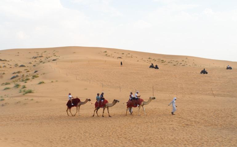 A desert safari
