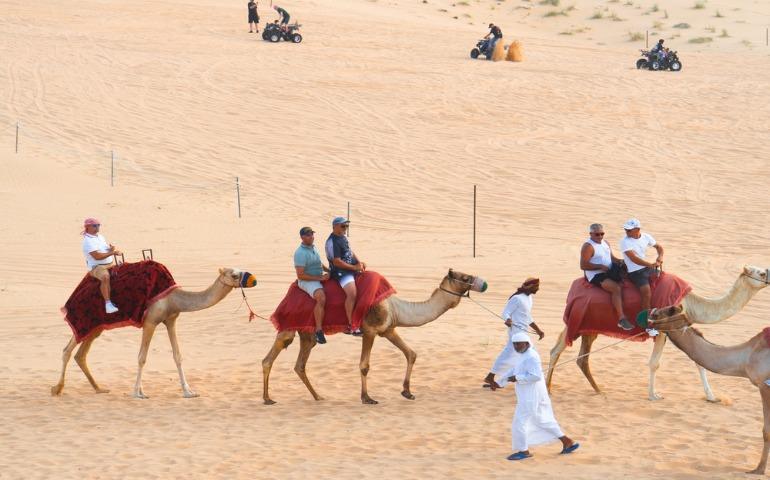 Travellers riding camels on a desert safari