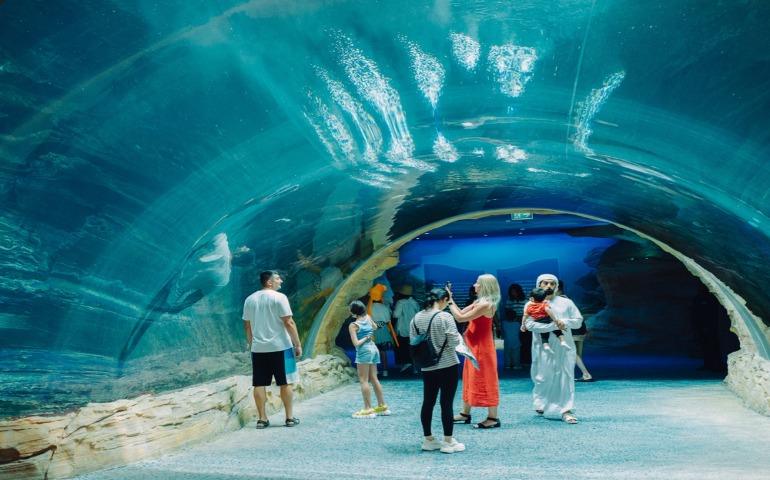 Tourists at SeaWorld Yas Island
