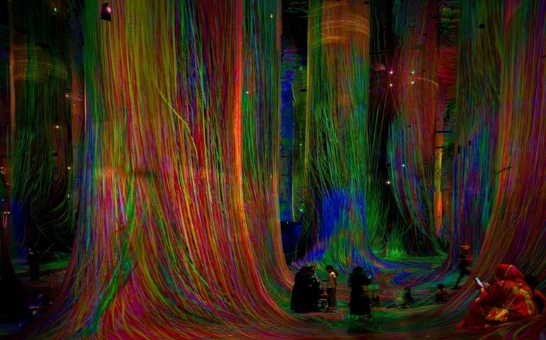 A display of digital art at TeamLab phenomena Abu Dhabi