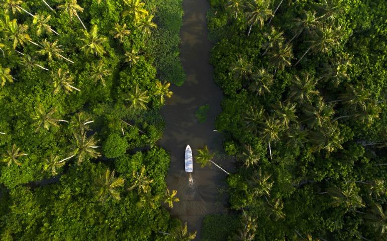 Alleppey Backwaters