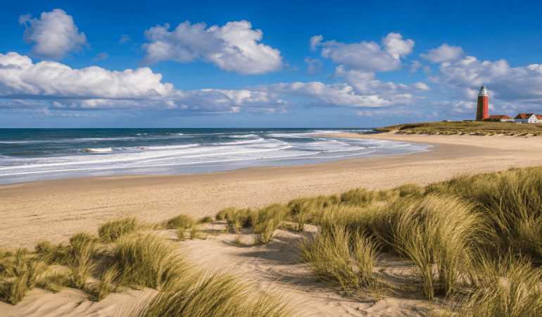 The Most Beautiful Beaches in the Netherlands