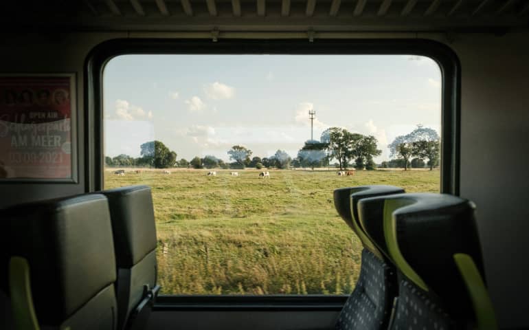 View from train at field with cows at sunny day

