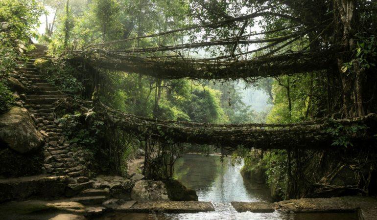 Why I Started Saying Yes to More Adventures at 54