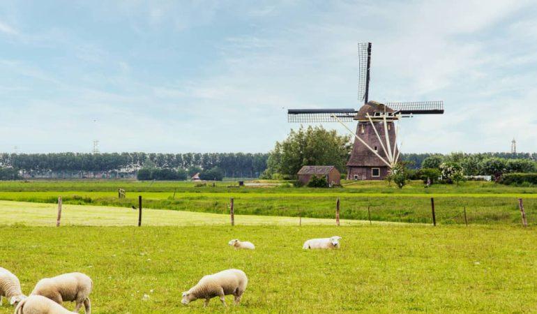 The Ultimate Netherlands Travel Guide for First-Time Visitors