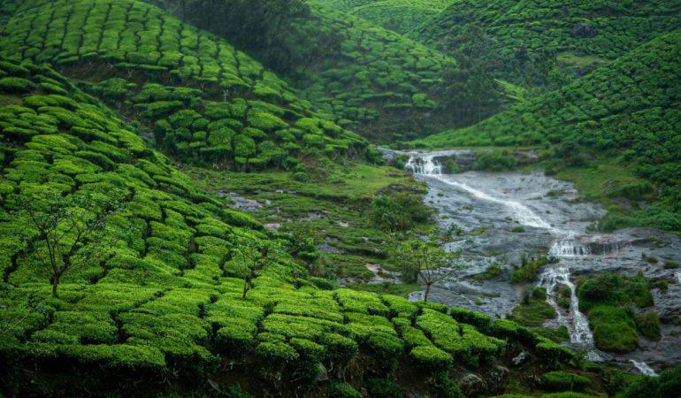 Hit Refresh: 8 Monsoon Destinations in India for Green Landscapes