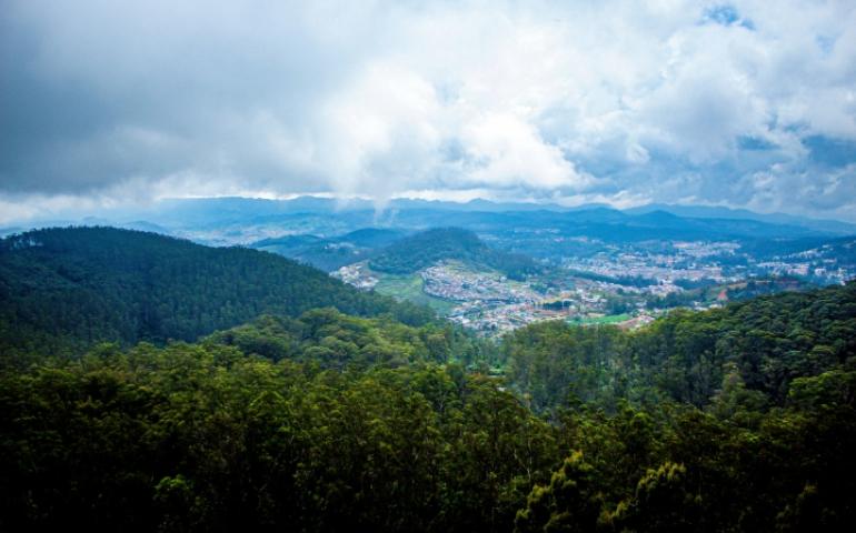 Scenic Landscapes Near Ooty
Image Generated - Harshal More/Unsplash