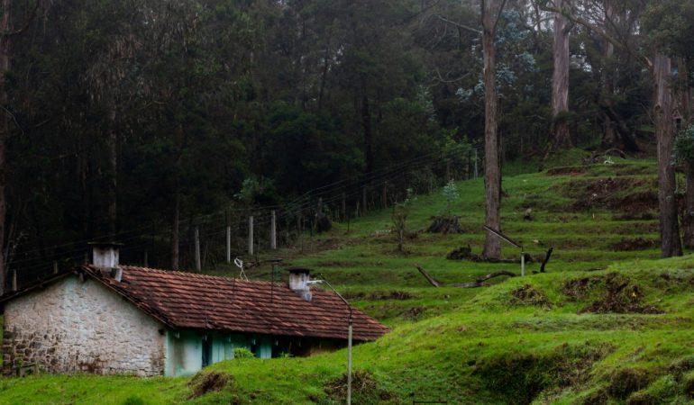 Don’t Risk It: Visit These 10 Safe Places To Visit During Monsoon