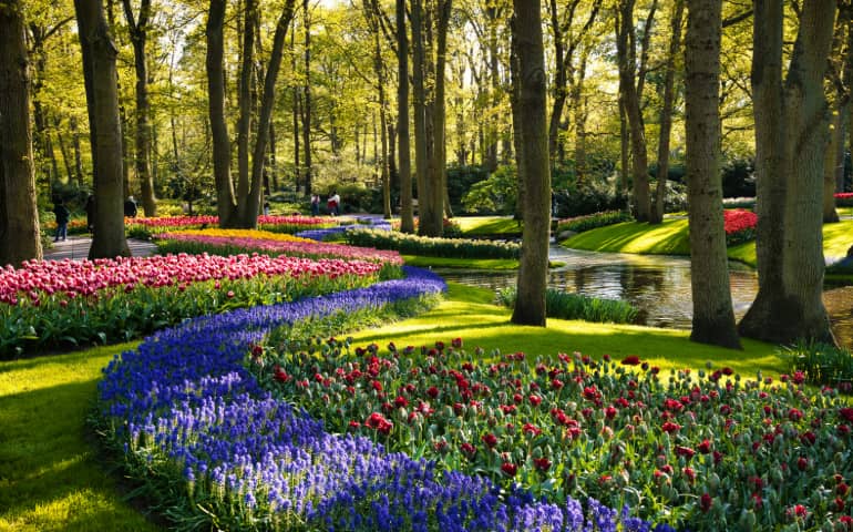 A garden in Keukenhof filled with different flowers.