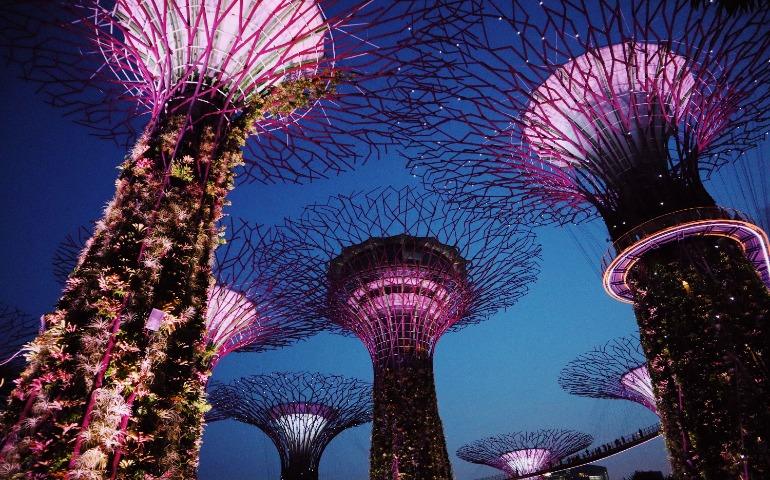 Nighttime shot of the illuminated Supertree Grove in Singapore's Gardens by the Bay.
