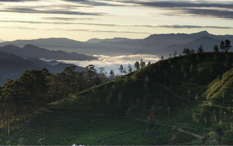 View of Mandaramnuwara in Sri Lanka with lush hills and distant misty mountains