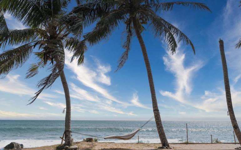 Palm trees on a sandy beach in Hikkaduwa, Sri Lanka
