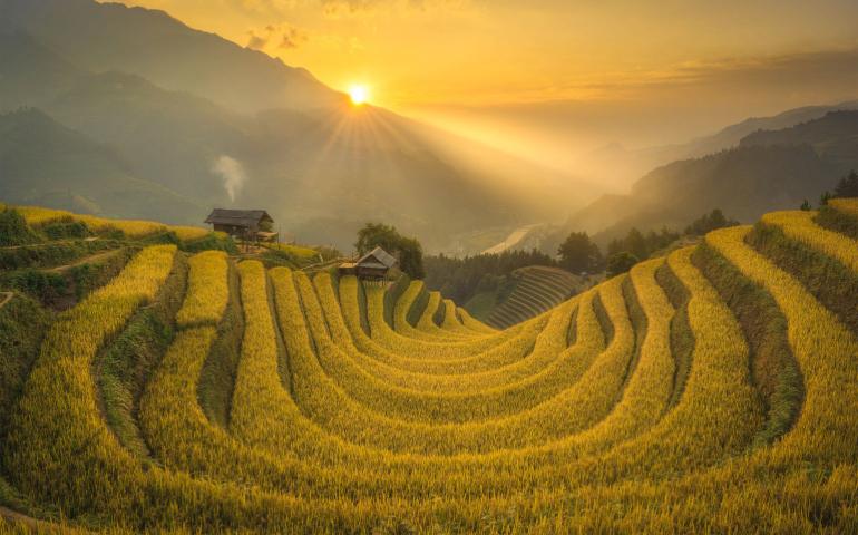 View of terraced rice fields of Vietnam in September