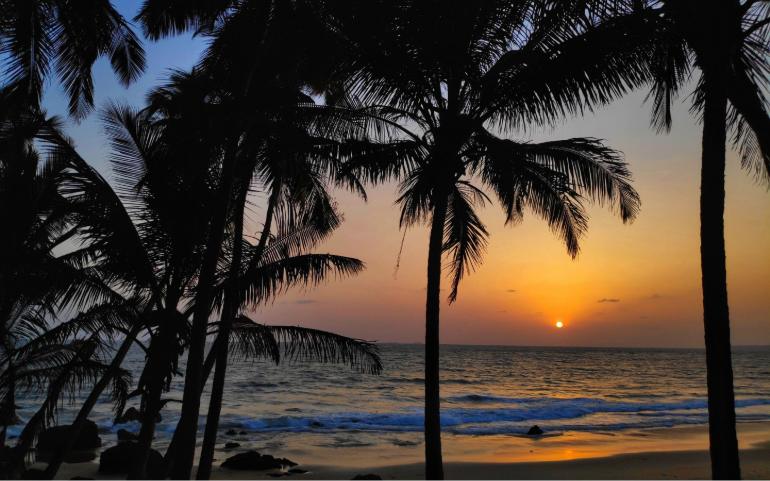 Breathtaking sunset view over a tropical beach with silhouetted palm trees in Goa