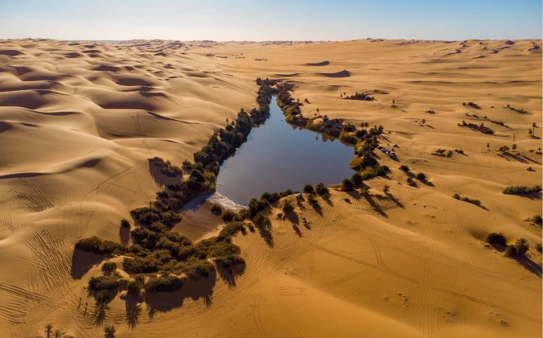 A beautiful oasis surrounded by endless desert sands under a clear blue sky