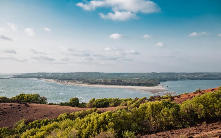 
A picturesque view of Mandrem Beach with lush greenery and blue sky in Goa, India