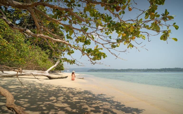 One of the beautiful beach among the top beaches to visit in Andaman in August
