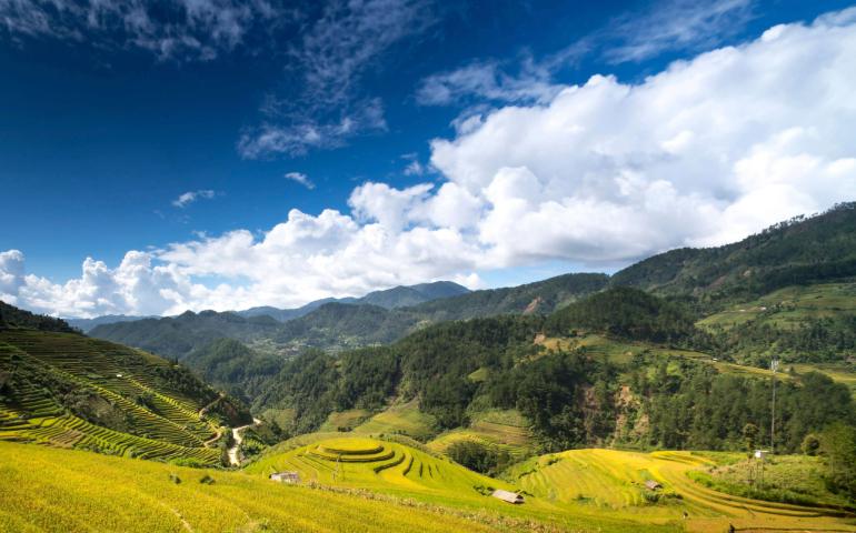 Scenic view of lush green rice terraces under a vibrant blue sky with clouds